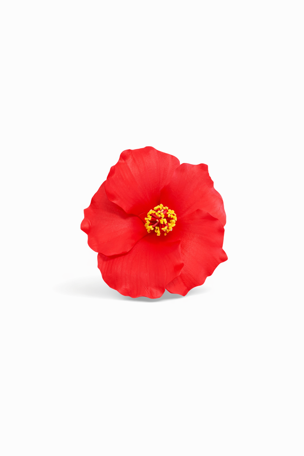 Red Hibiscus Flower Sei