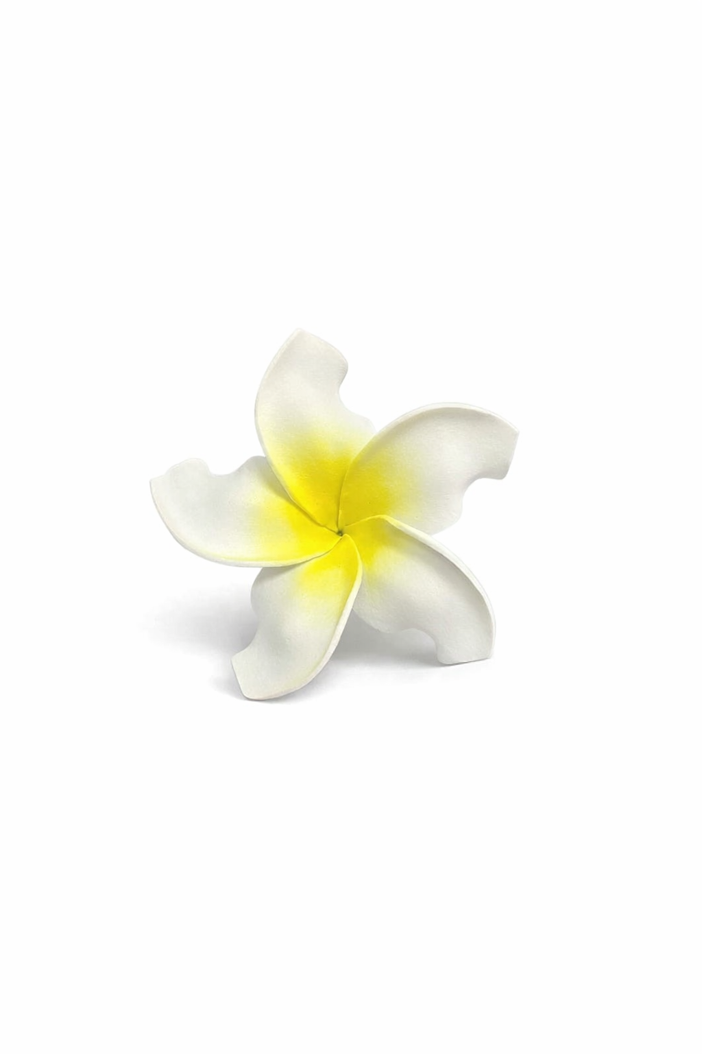 White & Yellow Frangipani Flower Sei