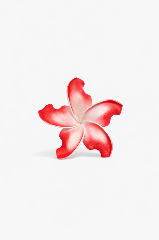 Red & White Frangipani Flower Sei
