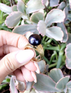 Kylie - Round Button Smooth Premiun Natural Freshwater Black Pearl Ring