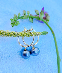 Rita - Tahitian Pearl Earrings (12mm)