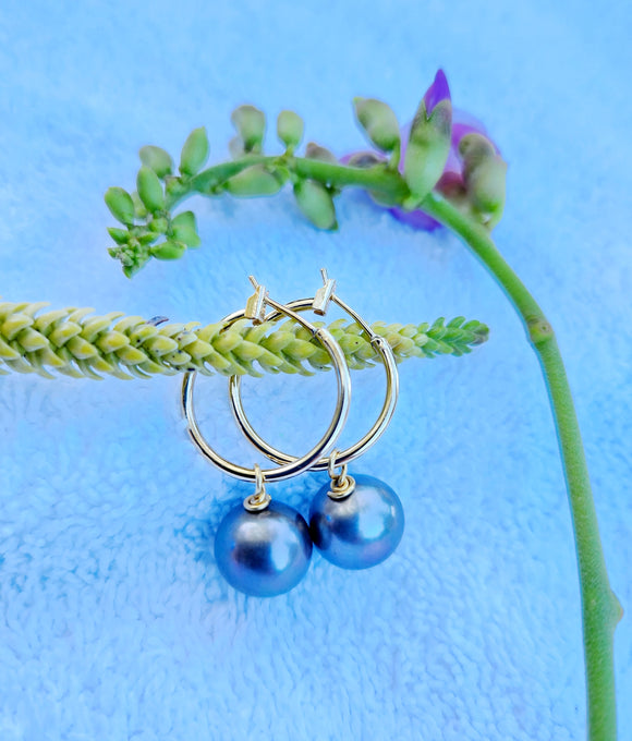 Rita - Tahitian Pearl Earrings (12mm)