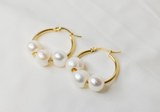 LUISA - NATURAL WHITE PEARLS x 14K GOLDFILLED MINI HOOP EARRINGS