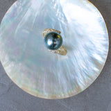 TEORA - A-GRADE TAHITIAN PEARL RING