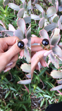 Kylie - Round Button Smooth Premiun Natural Freshwater Black Pearl Ring